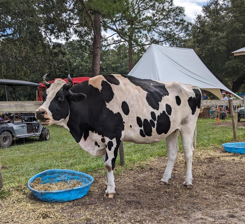 Melrose Rooterville Animal Sanctuary מראה חיצוני תמונה