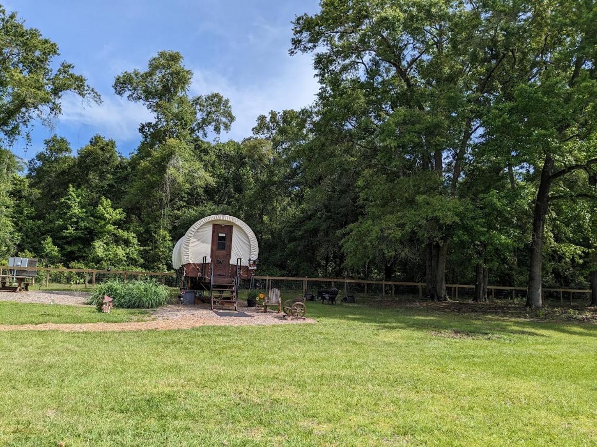Melrose Rooterville Animal Sanctuary מראה חיצוני תמונה