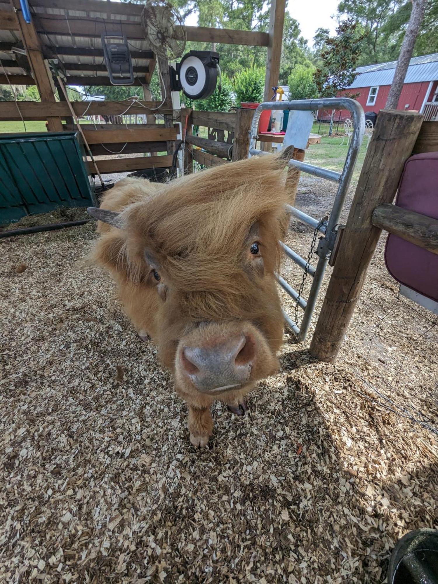 Melrose Rooterville Animal Sanctuary מראה חיצוני תמונה