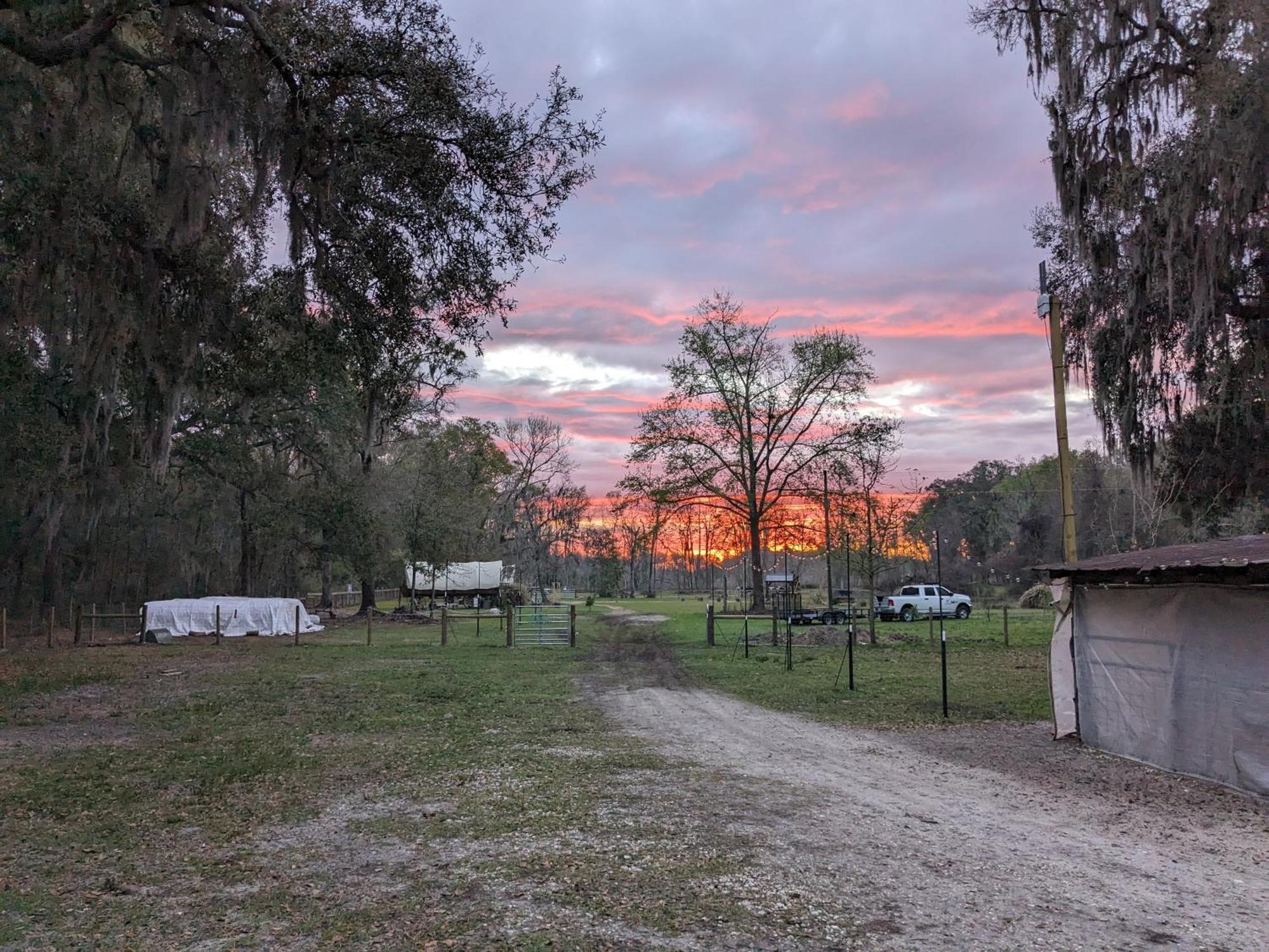 Melrose Rooterville Animal Sanctuary מראה חיצוני תמונה